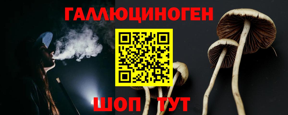 Галлюциногенные грибы MAGIC MUSHROOMS  Вход с VPN  Шахты 